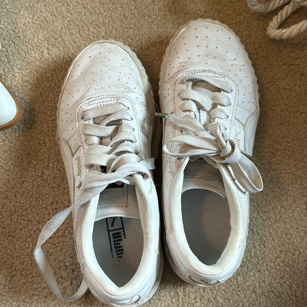Pumas